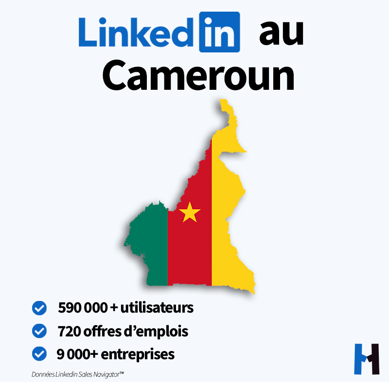 Linkedin au Cameroun